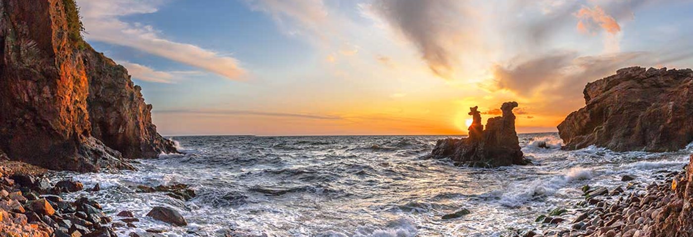 Kamelhovederne Web (1)