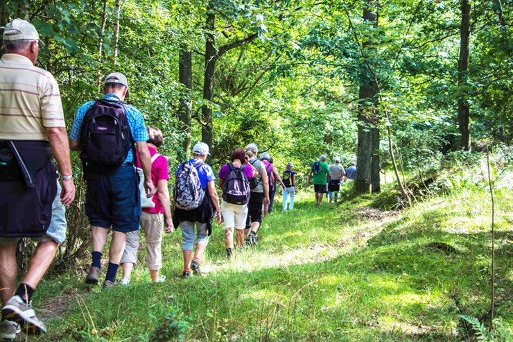 Tag teamet med på en flot vandretur