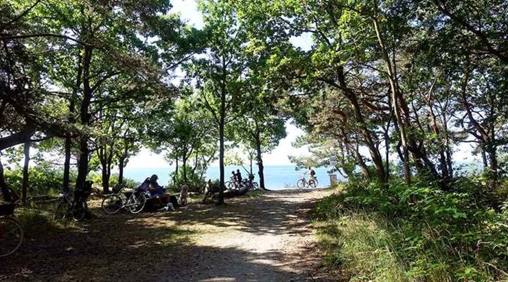 Hotellet er beliggende tæt ved skoven, stranden og Rønne centrum