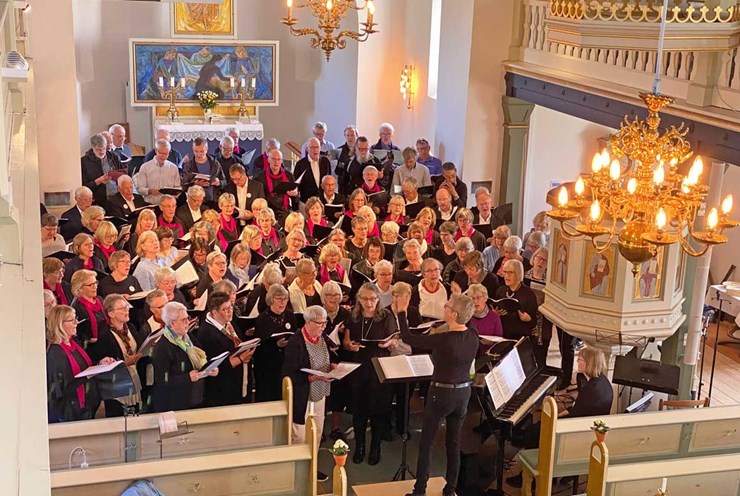 Vi arrangerar gärna er egen konsert