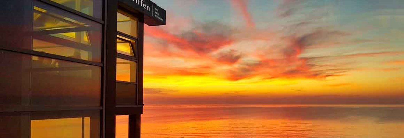 Griffen Solnedgang Logo På Bygning Web