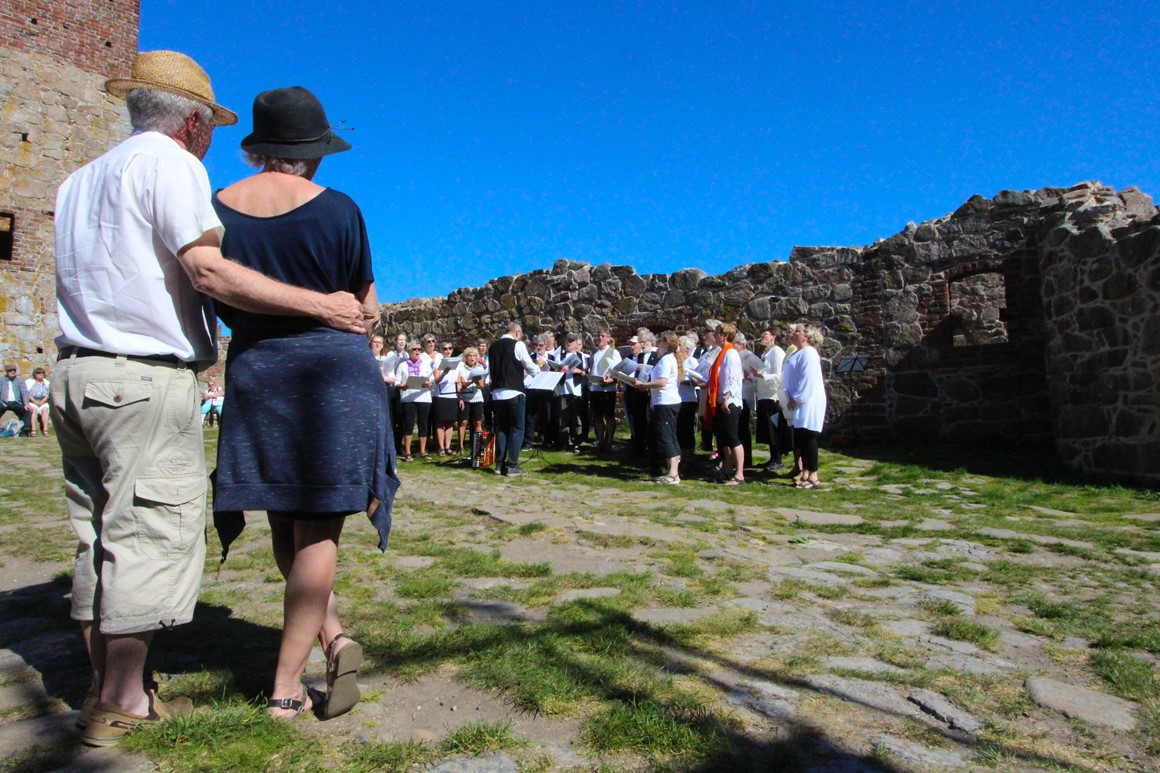 Tidigare deltagende körer