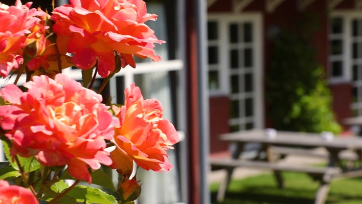 Nyd de rolige omgivelser i hotellets hyggelige have