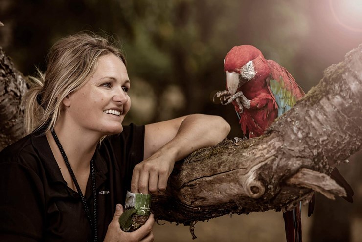 Oplev rovfugle og andre dyr til Rovfugleshow