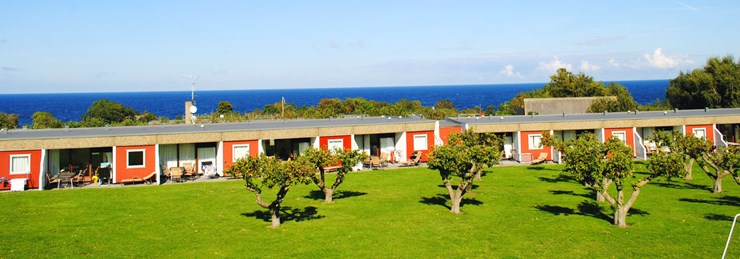 Æblehaven er beliggende i en tidligere epleplantasje